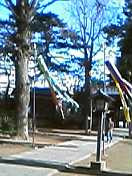 IWAKIRI2005-02-06 IWAKIRI2005-02-06