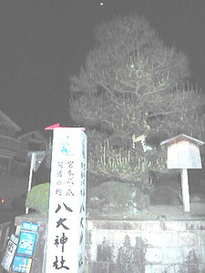 Kimono2008-05-08 Kimono2008-05-08