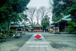 川越氷川神社 川越氷川神社