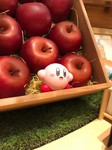 店内に佇むカービィ 店内に佇むカービィ