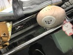 「ともだちはくま」も連れていきました 「ともだちはくま」も連れていきました