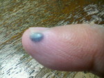 MAROON2008-02-17 MAROON2008-02-17