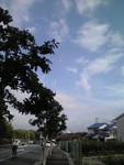 梅雨の晴れ間(^_^) 梅雨の晴れ間(^_^)