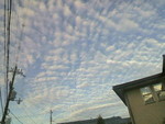 いわし雲 いわし雲