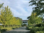 秋の京大農場 秋の京大農場