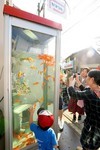 金魚電話ボックス 金魚電話ボックス