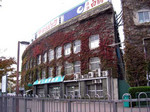 MSHIBATA2005-11-14 MSHIBATA2005-11-14