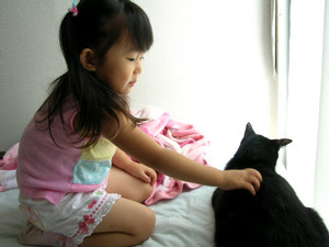 ÌÅ¥·¥ê¡¼¥º5¡¡°ìÊýŪ¥³¥ß¥å¥Ë¥±¡¼¥·¥ç ÌÅ¥·¥ê¡¼¥º5¡¡°ìÊýŪ¥³¥ß¥å¥Ë¥±¡¼¥·¥ç