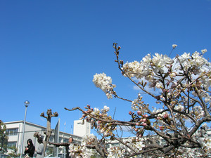 人が写り込んで没。 人が写り込んで没。