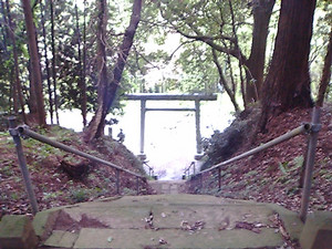 この後石段から落ちました。 この後石段から落ちました。