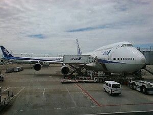 空を舞う翼 空を舞う翼
