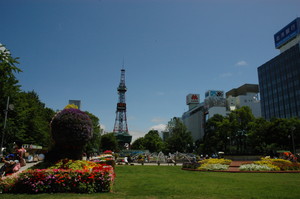 大通公園。 大通公園。