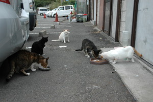 会食。 会食。