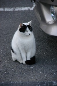 ふくふく。 ふくふく。