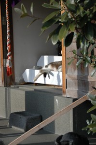 祀られ。 祀られ。