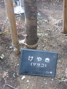 ……誰? ……誰?