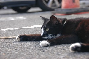 寝てない 寝てない