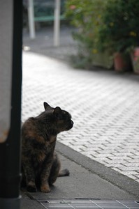 静寂 静寂