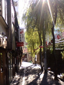 渋谷線路沿 渋谷線路沿