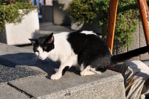 遊べよ 遊べよ
