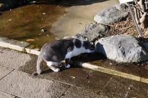 水漏れ 水漏れ