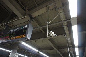 見られている 見られている