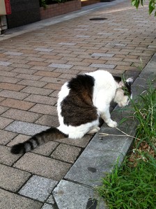 草うめぇwwww 草うめぇwwww