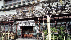 どこかで見たことあるような……? どこかで見たことあるような……?