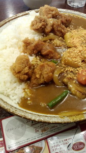 婆カレーとの終わりなき戦い 婆カレーとの終わりなき戦い