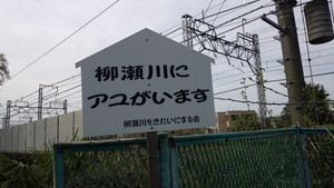 さつきかなつみか さつきかなつみか