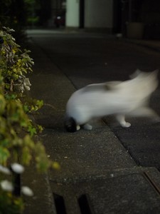 ニュルッ ニュルッ
