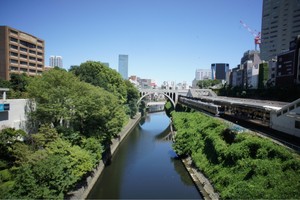 茶水 茶水