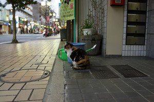 関内あたり 関内あたり