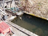 これは温泉ではありません これは温泉ではありません