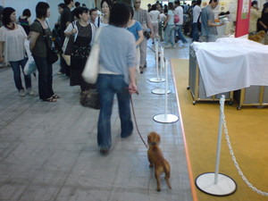 aiaiai_bon2007-08-28 aiaiai_bon2007-08-28