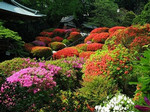 akaibara2006-05-16 akaibara2006-05-16
