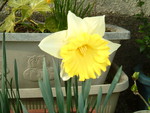 akaibara2010-03-19 akaibara2010-03-19