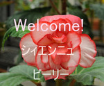 welcome welcome