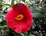 akaibara2016-03-10 akaibara2016-03-10