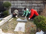 akaibara2016-03-13 akaibara2016-03-13