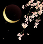 akaibara2016-04-11 akaibara2016-04-11