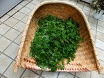 akaibara2016-04-22 akaibara2016-04-22