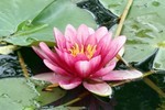 akaibara2016-05-19 akaibara2016-05-19