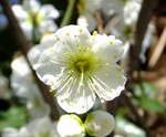 akaibara2016-06-02 akaibara2016-06-02