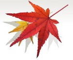 akaibara2016-10-15 akaibara2016-10-15