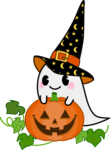 akaibara2017-10-16 akaibara2017-10-16