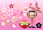 akaibara2018-03-03 akaibara2018-03-03