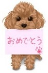 akaibara2018-08-21 akaibara2018-08-21