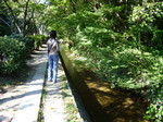 哲学の道.実は,こっそり映ってるのが 哲学の道.実は,こっそり映ってるのが