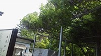 appi-stardust2016-05-29 appi-stardust2016-05-29